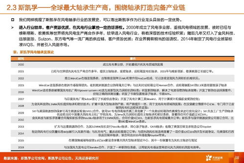 風(fēng)電軸承行業(yè)深度研究 市場(chǎng)潛力、海外對(duì)標(biāo)與業(yè)務(wù)延展性探索